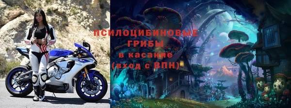 ешки Горно-Алтайск