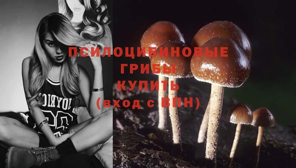 jwh Горняк