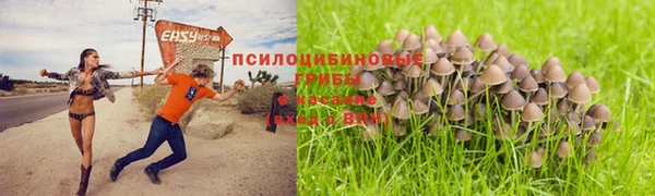 2c-b Горнозаводск