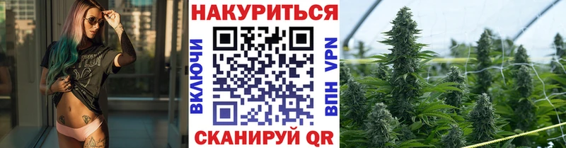 Каннабис OG Kush  Купить закладки  Родники 